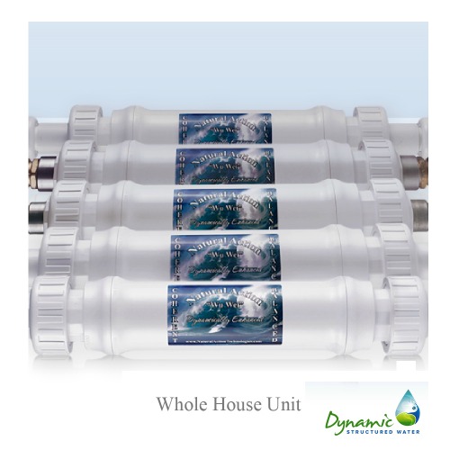 Whole House Structured Water Unit